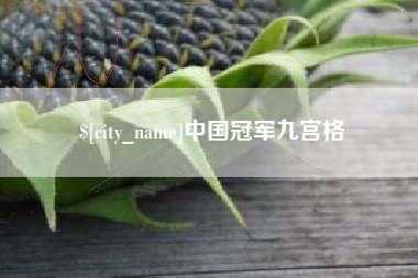 丽水中国冠军九宫格
