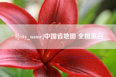 丽水中国省地图 全图黑白