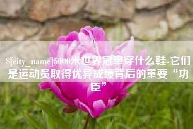 丽水5000米世界冠军穿什么鞋-它们是运动员取得优异成绩背后的重要“功臣”