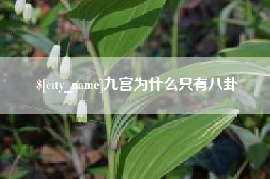 丽水九宫为什么只有八卦