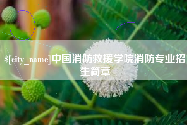 丽水中国消防救援学院消防专业招生简章