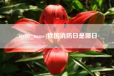 丽水我国消防日是哪日