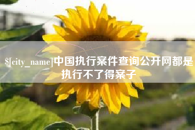 丽水中国执行案件查询公开网都是执行不了得案子