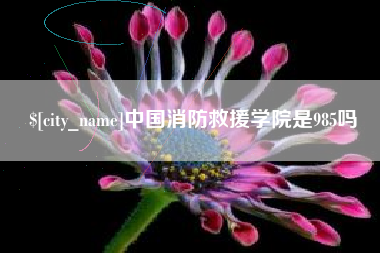 丽水中国消防救援学院是985吗