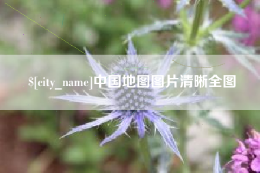 丽水中国地图图片清晰全图