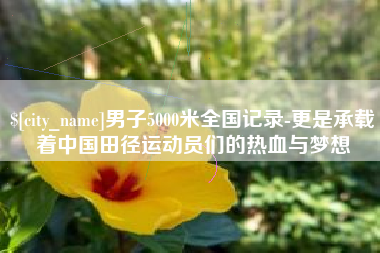 丽水男子5000米全国记录-更是承载着中国田径运动员们的热血与梦想