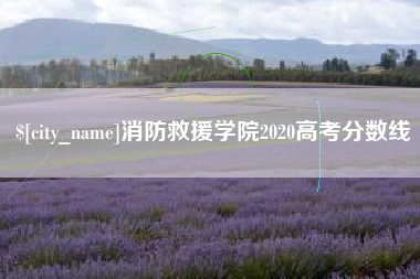 丽水消防救援学院2020高考分数线