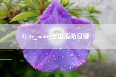 丽水全国消防日哪一