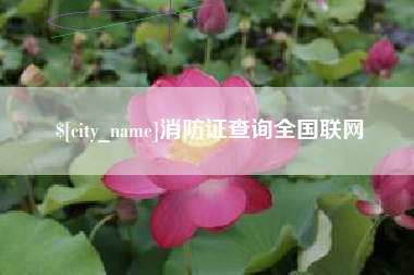 丽水消防证查询全国联网