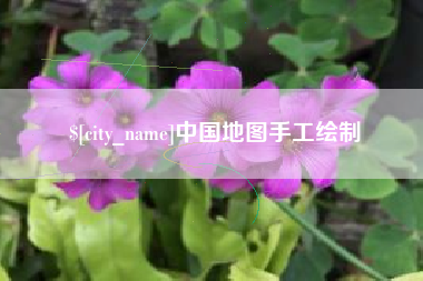 丽水中国地图手工绘制