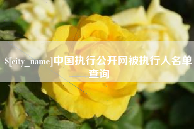 丽水中国执行公开网被执行人名单查询