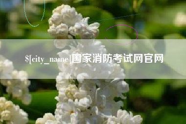 丽水国家消防考试网官网