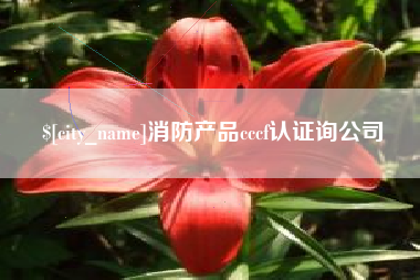 丽水消防产品cccf认证询公司