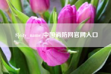 丽水中国消防网官网入口