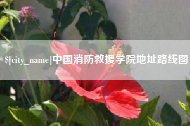 丽水中国消防救援学院地址路线图