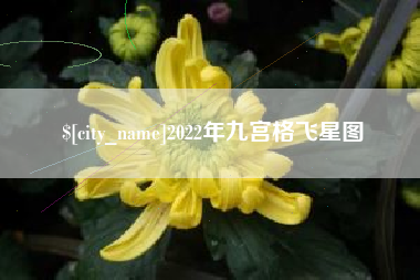 丽水2022年九宫格飞星图