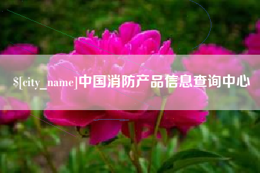 丽水中国消防产品信息查询中心