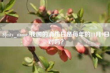 丽水我国的消防日是每年的11月9日对吗？