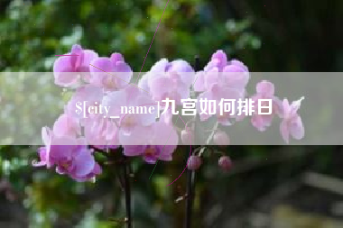 丽水九宫如何排日