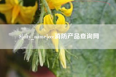 丽水ccc消防产品查询网
