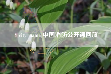 丽水中国消防公开课回放