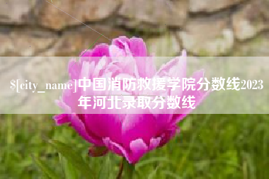 丽水中国消防救援学院分数线2023年河北录取分数线