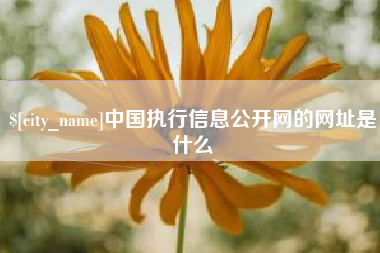 丽水中国执行信息公开网的网址是什么