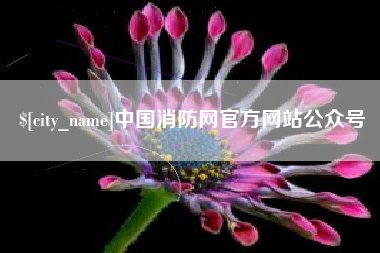 丽水中国消防网官方网站公众号
