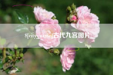 丽水古代九宫图片