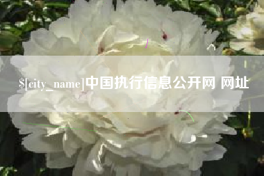 丽水中国执行信息公开网 网址