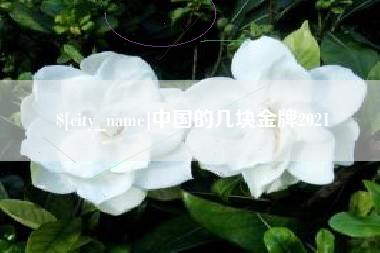 丽水中国的几块金牌2021