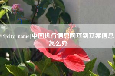丽水中国执行信息网查到立案信息怎么办
