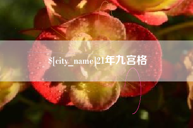 丽水21年九宫格