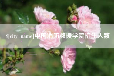 丽水中国消防救援学院招生人数