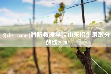 丽水消防救援学院山东招生录取分数线2020