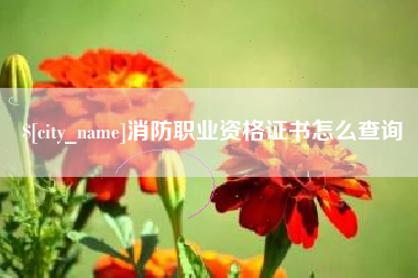 丽水消防职业资格证书怎么查询