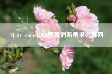 丽水2021国家消防员报名官网