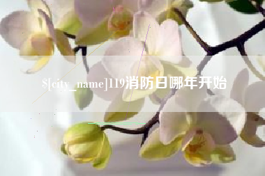 丽水119消防日哪年开始