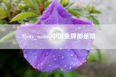 丽水中国金牌都是啥
