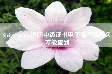 丽水消防中级证书电子版查询多久才能查到