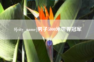 丽水男子5000米世界冠军