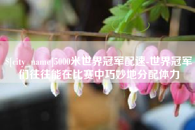 丽水5000米世界冠军配速-世界冠军们往往能在比赛中巧妙地分配体力