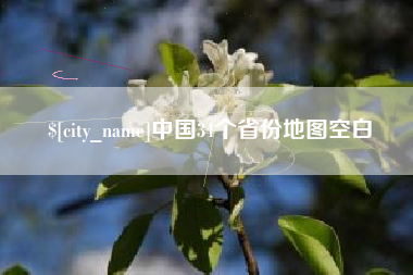 丽水中国34个省份地图空白
