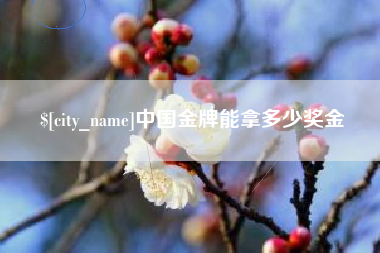 丽水中国金牌能拿多少奖金