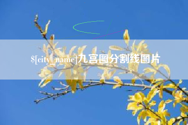 丽水九宫图分割线图片