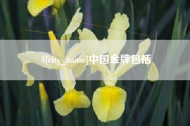 丽水中国金牌包括