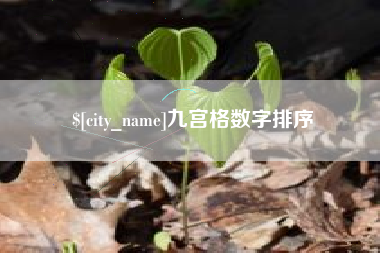 丽水九宫格数字排序