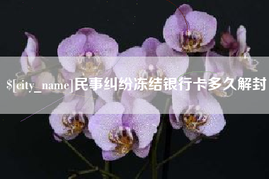 丽水民事纠纷冻结银行卡多久解封