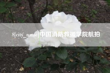 丽水中国消防救援学院航拍