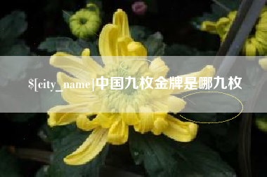 丽水中国九枚金牌是哪九枚